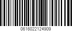 Código de barras (EAN, GTIN, SKU, ISBN): '0616022124909'