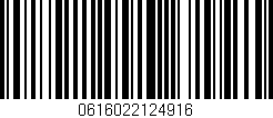 Código de barras (EAN, GTIN, SKU, ISBN): '0616022124916'