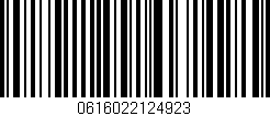 Código de barras (EAN, GTIN, SKU, ISBN): '0616022124923'
