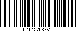 Código de barras (EAN, GTIN, SKU, ISBN): '0710137066519'