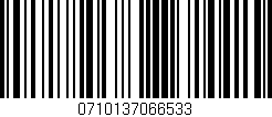 Código de barras (EAN, GTIN, SKU, ISBN): '0710137066533'