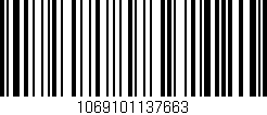 Código de barras (EAN, GTIN, SKU, ISBN): '1069101137663'