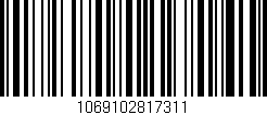 Código de barras (EAN, GTIN, SKU, ISBN): '1069102817311'