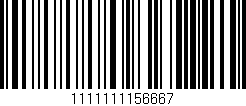 Código de barras (EAN, GTIN, SKU, ISBN): '1111111156667'