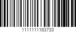 Código de barras (EAN, GTIN, SKU, ISBN): '1111111163733'
