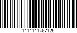 Código de barras (EAN, GTIN, SKU, ISBN): '1111111487129'