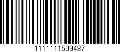 Código de barras (EAN, GTIN, SKU, ISBN): '1111111509487'