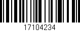 Código de barras (EAN, GTIN, SKU, ISBN): '17104234'