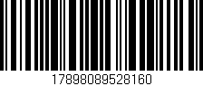 Código de barras (EAN, GTIN, SKU, ISBN): '17898089528160'