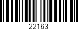 Código de barras (EAN, GTIN, SKU, ISBN): '22163'