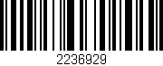 Código de barras (EAN, GTIN, SKU, ISBN): '2236929'