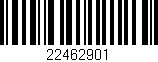 Código de barras (EAN, GTIN, SKU, ISBN): '22462901'