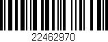 Código de barras (EAN, GTIN, SKU, ISBN): '22462970'