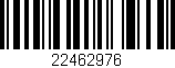 Código de barras (EAN, GTIN, SKU, ISBN): '22462976'
