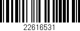 Código de barras (EAN, GTIN, SKU, ISBN): '22616531'