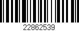 Código de barras (EAN, GTIN, SKU, ISBN): '22862539'