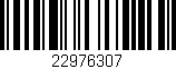Código de barras (EAN, GTIN, SKU, ISBN): '22976307'