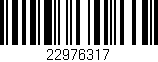 Código de barras (EAN, GTIN, SKU, ISBN): '22976317'