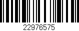 Código de barras (EAN, GTIN, SKU, ISBN): '22976575'