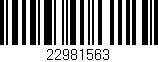 Código de barras (EAN, GTIN, SKU, ISBN): '22981563'