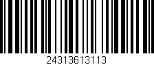 Código de barras (EAN, GTIN, SKU, ISBN): '24313613113'