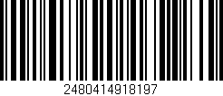 Código de barras (EAN, GTIN, SKU, ISBN): '2480414918197'