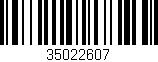 Código de barras (EAN, GTIN, SKU, ISBN): '35022607'