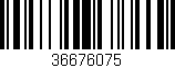 Código de barras (EAN, GTIN, SKU, ISBN): '36676075'