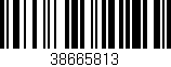 Código de barras (EAN, GTIN, SKU, ISBN): '38665813'