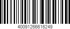 Código de barras (EAN, GTIN, SKU, ISBN): '40091266616249'