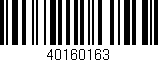 Código de barras (EAN, GTIN, SKU, ISBN): '40160163'