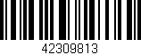 Código de barras (EAN, GTIN, SKU, ISBN): '42309813'
