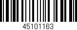 Código de barras (EAN, GTIN, SKU, ISBN): '45101163'