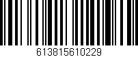 Código de barras (EAN, GTIN, SKU, ISBN): '613815610229'