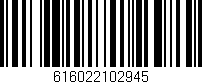 Código de barras (EAN, GTIN, SKU, ISBN): '616022102945'