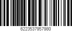 Código de barras (EAN, GTIN, SKU, ISBN): '6223537957980'
