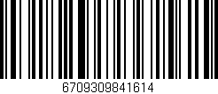 Código de barras (EAN, GTIN, SKU, ISBN): '6709309841614'
