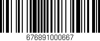 Código de barras (EAN, GTIN, SKU, ISBN): '676891000667'