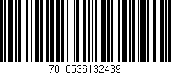 Código de barras (EAN, GTIN, SKU, ISBN): '7016536132439'