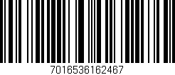 Código de barras (EAN, GTIN, SKU, ISBN): '7016536162467'