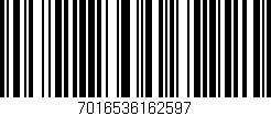 Código de barras (EAN, GTIN, SKU, ISBN): '7016536162597'