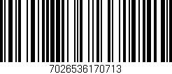 Código de barras (EAN, GTIN, SKU, ISBN): '7026536170713'