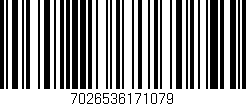 Código de barras (EAN, GTIN, SKU, ISBN): '7026536171079'