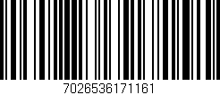 Código de barras (EAN, GTIN, SKU, ISBN): '7026536171161'