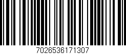 Código de barras (EAN, GTIN, SKU, ISBN): '7026536171307'