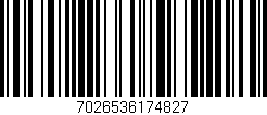 Código de barras (EAN, GTIN, SKU, ISBN): '7026536174827'