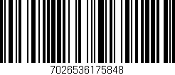 Código de barras (EAN, GTIN, SKU, ISBN): '7026536175848'