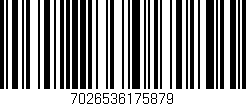 Código de barras (EAN, GTIN, SKU, ISBN): '7026536175879'