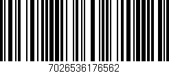 Código de barras (EAN, GTIN, SKU, ISBN): '7026536176562'