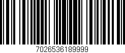 Código de barras (EAN, GTIN, SKU, ISBN): '7026536189999'